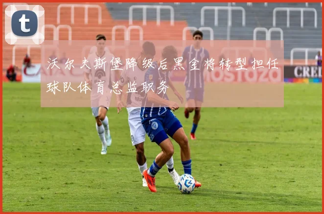 沃尔夫斯堡降级后黑金将转型担任球队体育总监职务